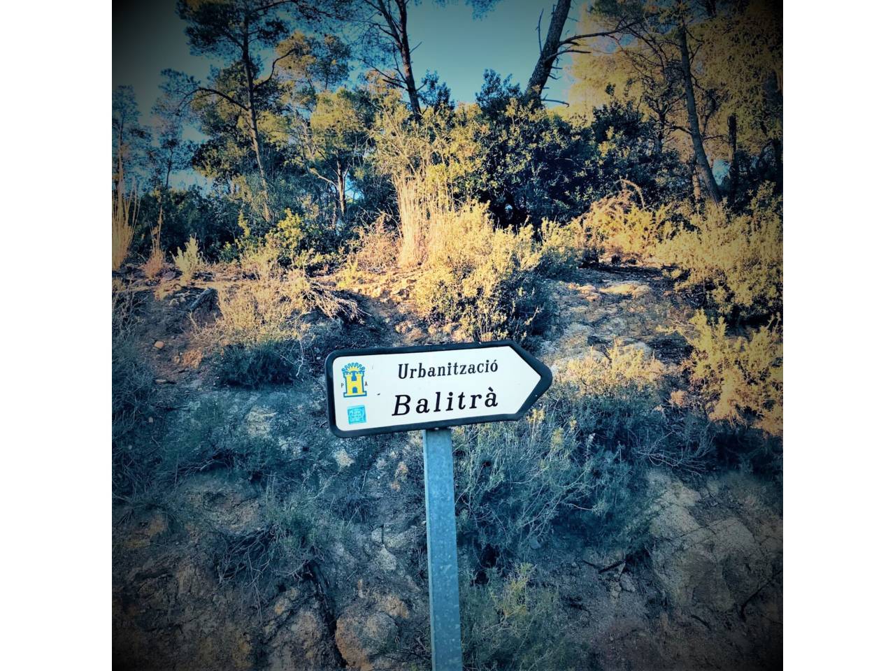 VP-BALITRÀ - Imagen# 1